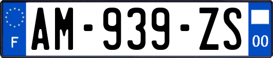 AM-939-ZS