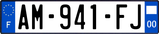 AM-941-FJ