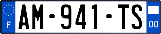 AM-941-TS
