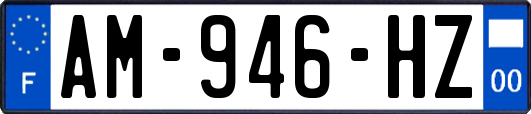 AM-946-HZ