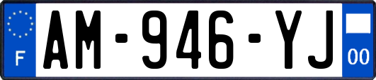 AM-946-YJ