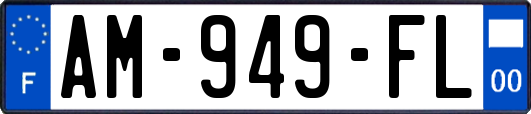 AM-949-FL