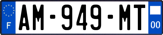 AM-949-MT