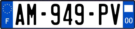 AM-949-PV