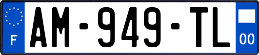 AM-949-TL