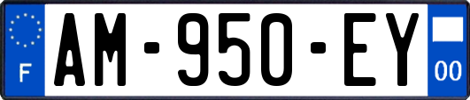 AM-950-EY