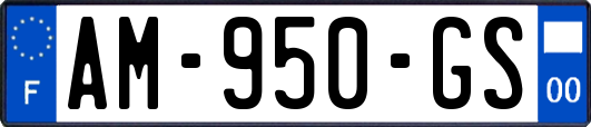AM-950-GS