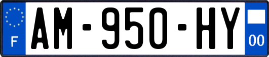 AM-950-HY