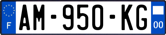 AM-950-KG
