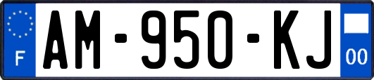 AM-950-KJ