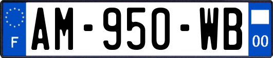 AM-950-WB