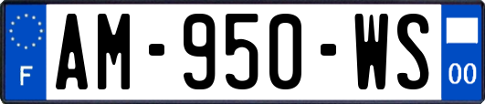 AM-950-WS