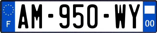 AM-950-WY