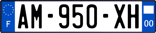 AM-950-XH