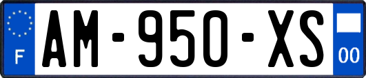 AM-950-XS