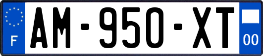 AM-950-XT
