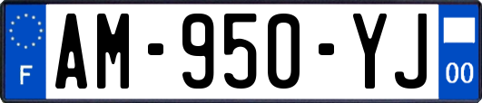 AM-950-YJ
