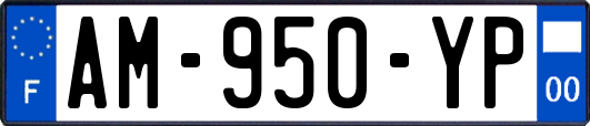 AM-950-YP