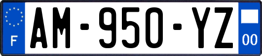 AM-950-YZ
