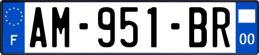 AM-951-BR