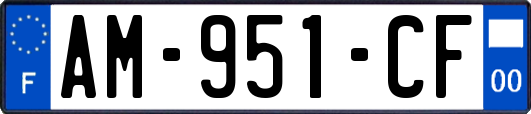 AM-951-CF