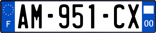 AM-951-CX
