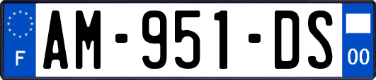 AM-951-DS