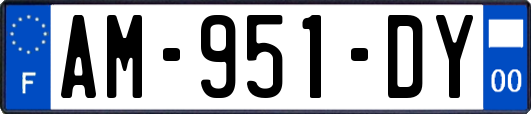 AM-951-DY