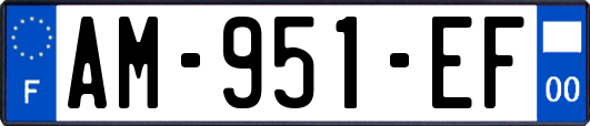 AM-951-EF