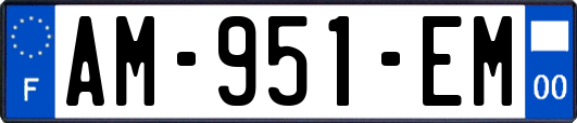 AM-951-EM