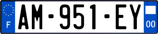 AM-951-EY