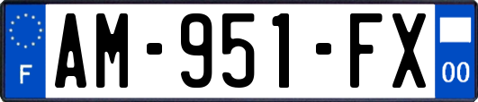 AM-951-FX