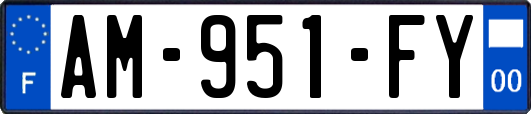 AM-951-FY