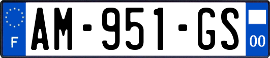 AM-951-GS
