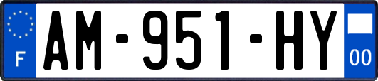 AM-951-HY