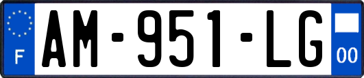 AM-951-LG