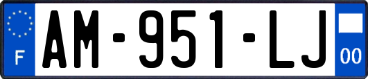 AM-951-LJ