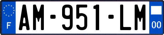AM-951-LM