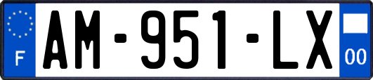 AM-951-LX