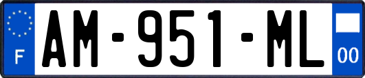 AM-951-ML