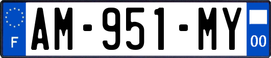 AM-951-MY