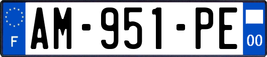 AM-951-PE