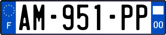 AM-951-PP