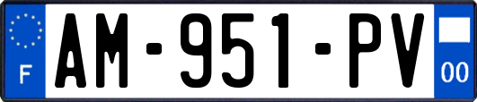 AM-951-PV