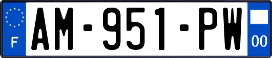 AM-951-PW