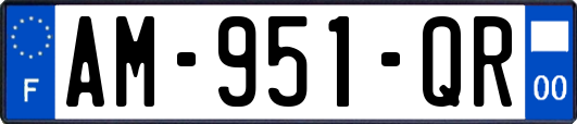 AM-951-QR