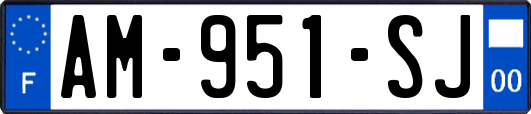 AM-951-SJ
