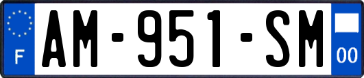AM-951-SM