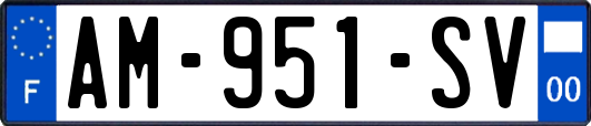 AM-951-SV