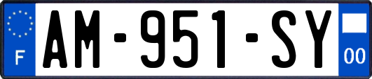 AM-951-SY